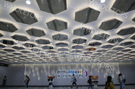 六角形の装飾的な1100デラックスな商業中心のためのアルミニウム天井板